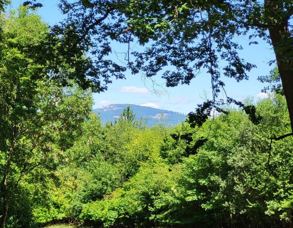 Altkönig im Taunus